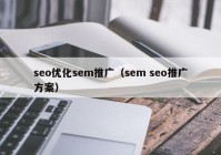 seo优化sem推广（sem seo推广方案）