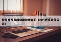 软件开发有限公司做什么的（软件程序开发公司）