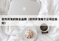 软件开发的知名品牌（软件开发哪个公司比较好）