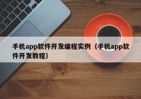 手机app软件开发编程实例（手机app软件开发教程）