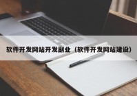 软件开发网站开发副业（软件开发网站建设）