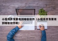 小程序开发要用到哪些软件（小程序开发要用到哪些软件呢）