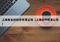 上海有名的软件开发公司（上海软件研发公司）