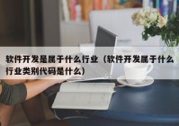 软件开发是属于什么行业（软件开发属于什么行业类别代码是什么）