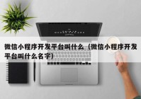 微信小程序开发平台叫什么（微信小程序开发平台叫什么名字）