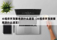 小程序开发要用到什么语言（小程序开发需要用到什么语言）