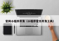 官网小程序开发（小程序官方开发工具）