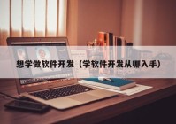 想学做软件开发（学软件开发从哪入手）