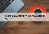 长沙专业seo优化推广（长沙seo网站推广）