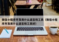 微信小程序开发用什么语言和工具（微信小程序开发用什么语言和工具好）