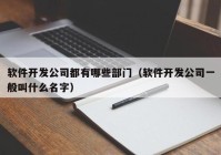 软件开发公司都有哪些部门（软件开发公司一般叫什么名字）