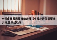 小程序开发需要哪些条件（小程序开发需要多少钱,无需经验!）