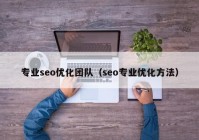 专业seo优化团队（seo专业优化方法）