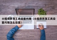 小程序开发工具设置代理（小程序开发工具设置代理怎么设置）