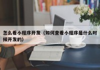 怎么看小程序开发（如何查看小程序是什么时候开发的）