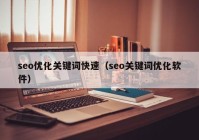 seo优化关键词快速（seo关键词优化软件）