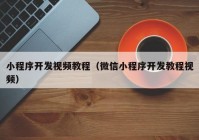 小程序开发视频教程（微信小程序开发教程视频）