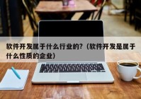 软件开发属于什么行业的?（软件开发是属于什么性质的企业）