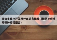 微信小程序开发用什么语言编程（微信小程序用哪种编程语言）