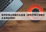 软件开发公司做什么业务（软件开发公司做什么业务比较好）