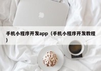 手机小程序开发app（手机小程序开发教程）