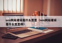 seo网站建设是什么意思（seo网站建设是什么意思呀）