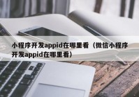 小程序开发appid在哪里看（微信小程序开发appid在哪里看）